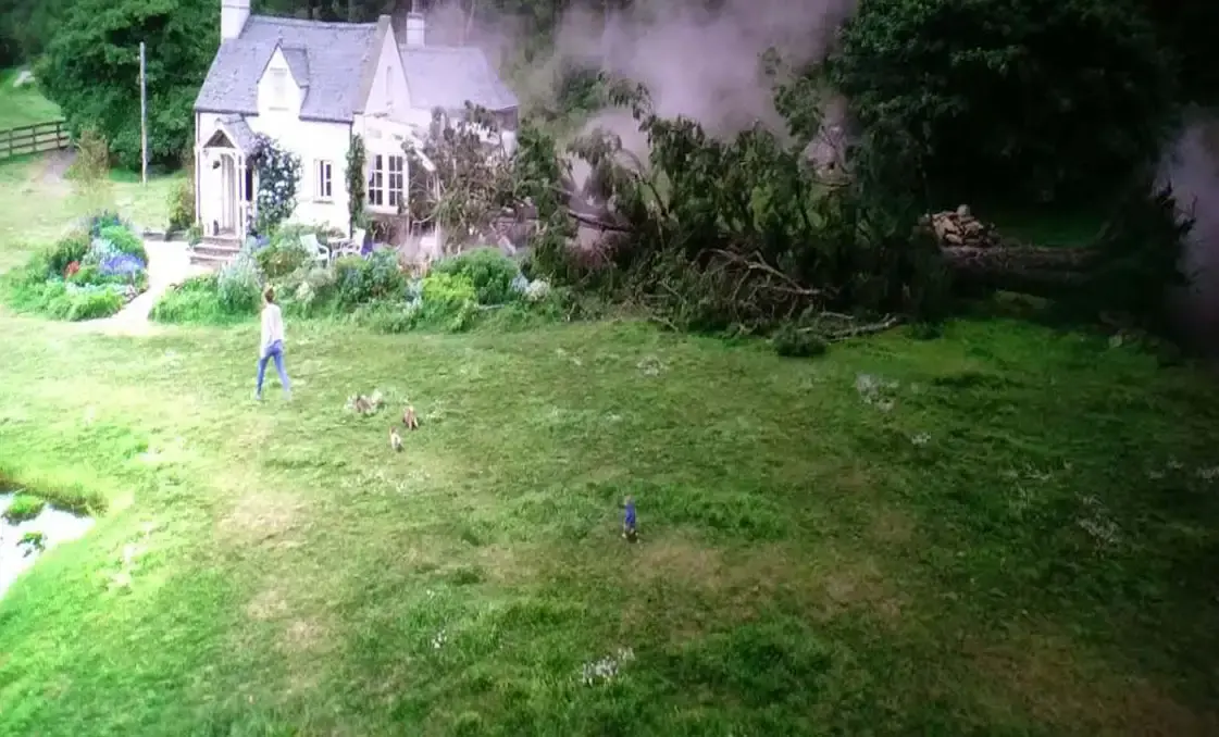 比得兔、社会达尔文主义与生存权利