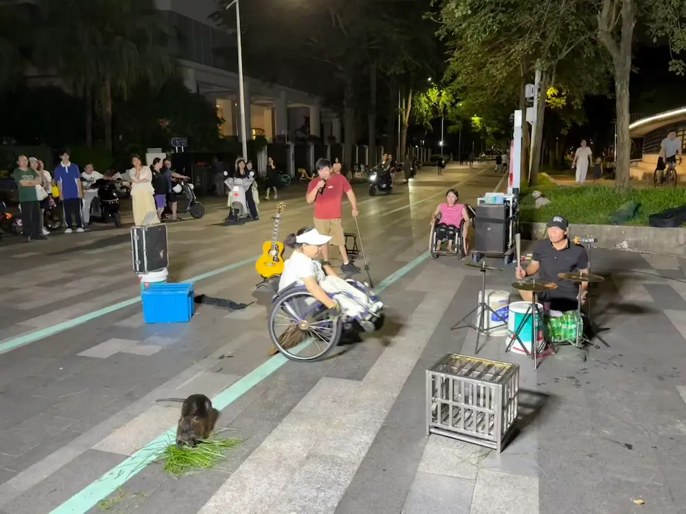 同情的批判性